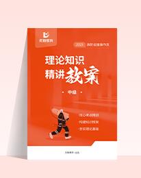 《理论知识精讲教案》