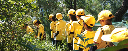 大别山红色教育