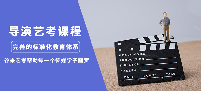 重庆导演艺考培训