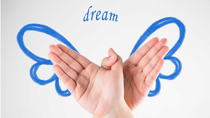 关于师大中奕教育