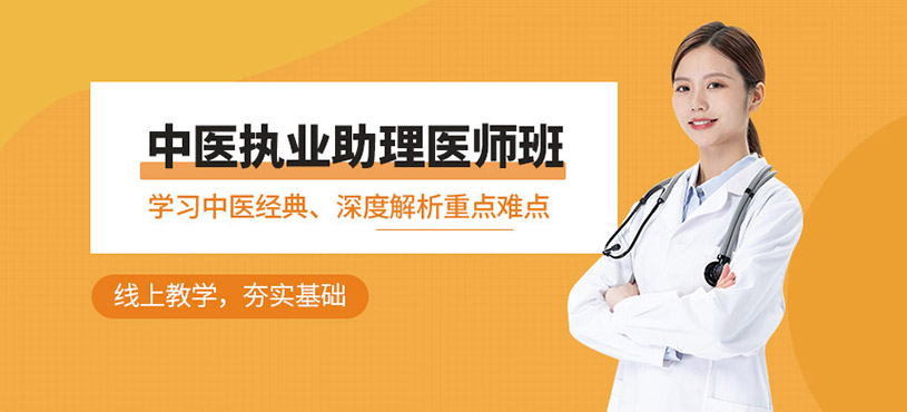 中医执业助理医师网上辅导