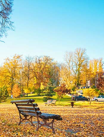 俄罗斯各学科简介