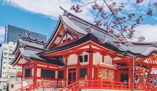 美国专业篮球训练夏令营