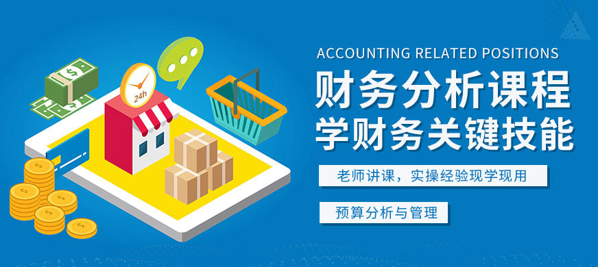 财务数据分析课程