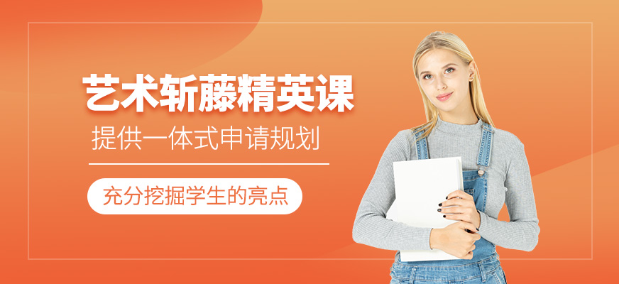 艺术斩藤精英课程