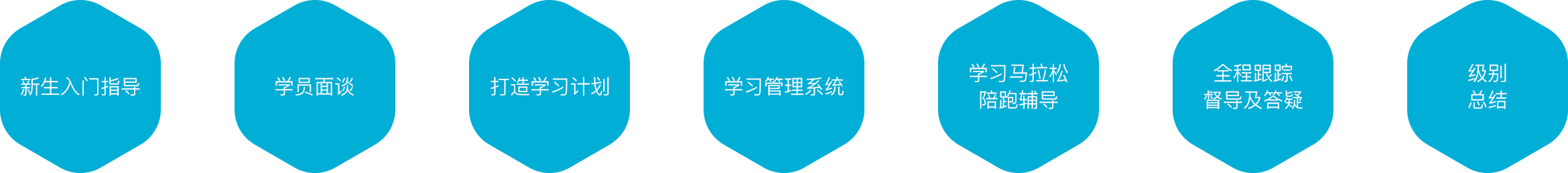 全程跟踪与指导的陪伴式服务体验