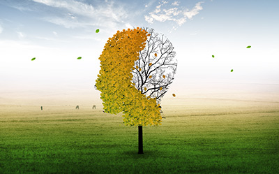 阶段性进行测试