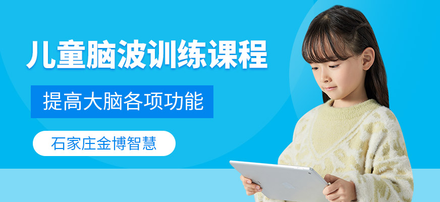 石家庄金博智慧儿童游戏脑力训练