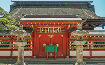 日语零基础,但是想要系统学习日语的同学