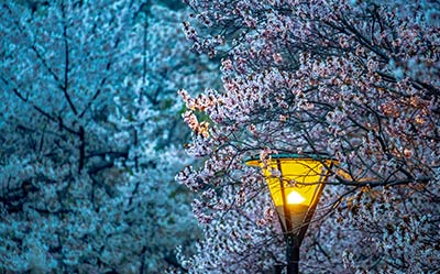 目前零起点或者有点基础,日语兴趣爱好者