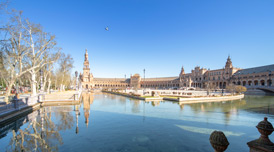 ‌专业师资团队