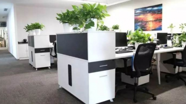 /attachment/editor/20250922/17585002298vvff.png /attachment/editor/20250922/17585002298vvff.png