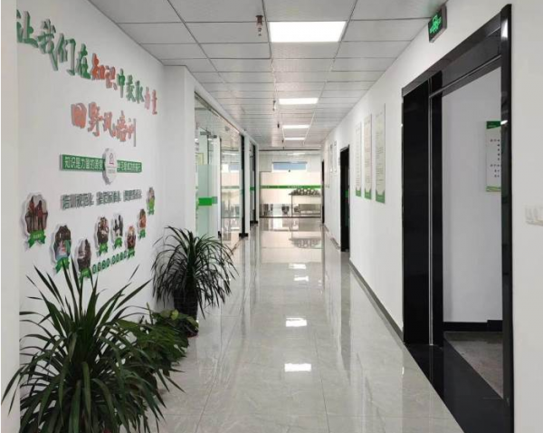 工商管理专业在职研究生同等学力申硕课程