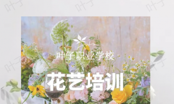 /attachment/editor/20251010/1760074510c4wsk.png