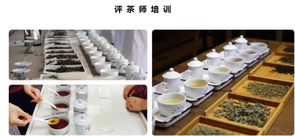 /attachment/editor/20251010/1760074820ju2ea.png /attachment/editor/20251010/1760074820ju2ea.png