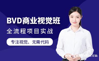 BVD商业视觉设计班