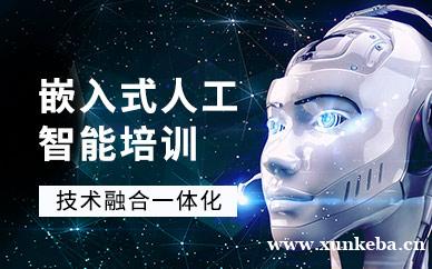 嵌入式人工智能