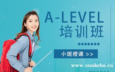 A-LEVEL培训班
