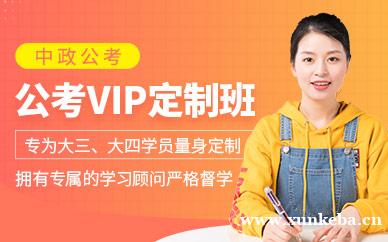 公考VIP定制班