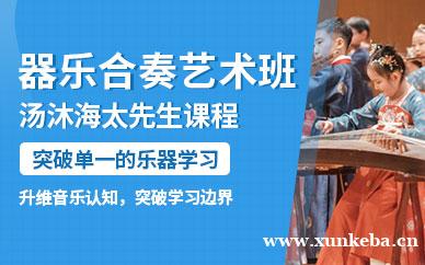 汤沐海太先生器乐合奏艺术班