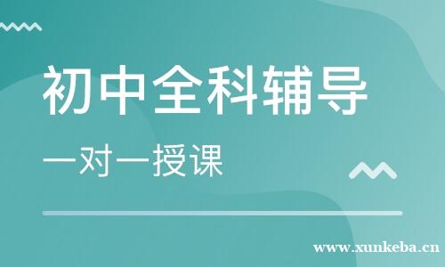 初中辅导
