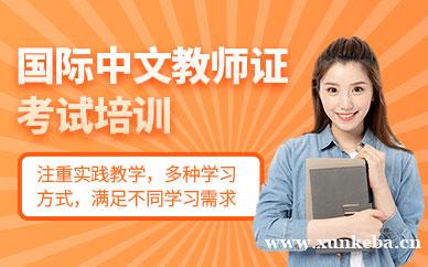 国际中文教师证考试培训