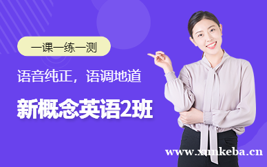 成人新概念英语二册精品班