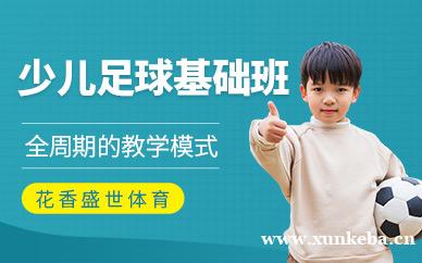 青少年足球基础班