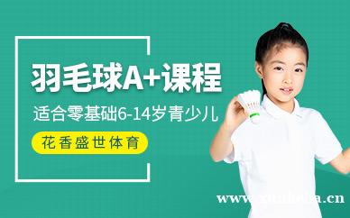 羽毛球A+课程