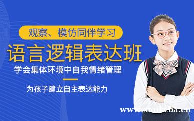 启智认知逻辑表达课