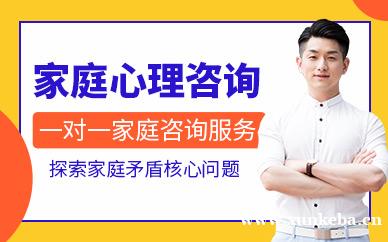 家庭心理咨询服务