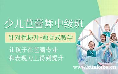 少儿芭蕾舞中级班