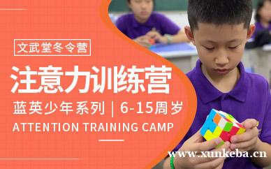 7天专注力冬令营训练