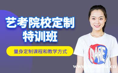 艺考院校定制特训班