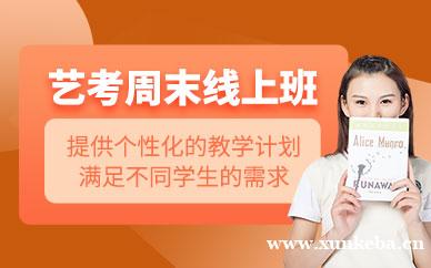 艺考周末线上课程