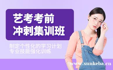 艺考考前冲刺集训班