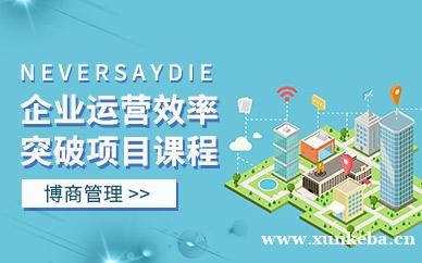 运营效率突破项目