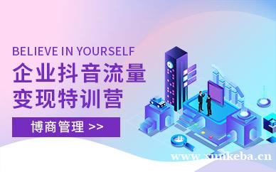 企业抖音流量变现特训营