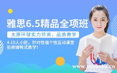 雅思6.5精品全项班