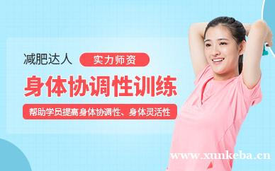 身体协调性训练