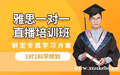 雅思直播一对一班