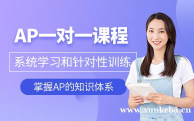 AP1v1课程