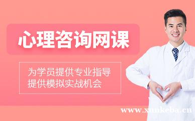 心理咨询师网课