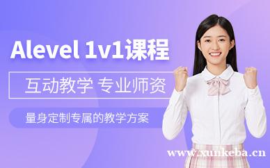 Alevel1v1课程