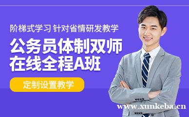 在线公务员体制双师全程A班