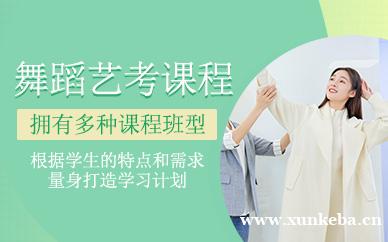舞蹈艺考课程