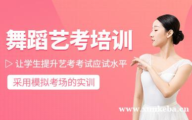 舞蹈艺考培训班