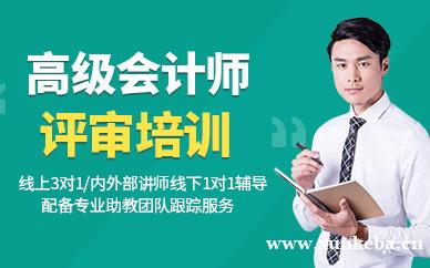 高级会计师评审培训