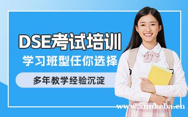 DSE课程
