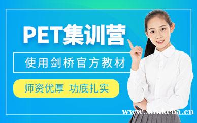 PET集训营